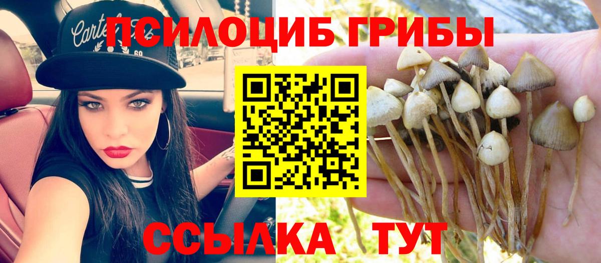 Каннабис  NBOMe  Вязники  МЕФ кристаллы  Кокаин  ГАШИШ  Кокаин  Вход с VPN 