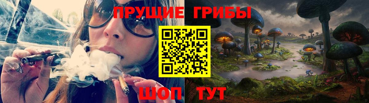 Галлюциногенные грибы Cubensis Вязники